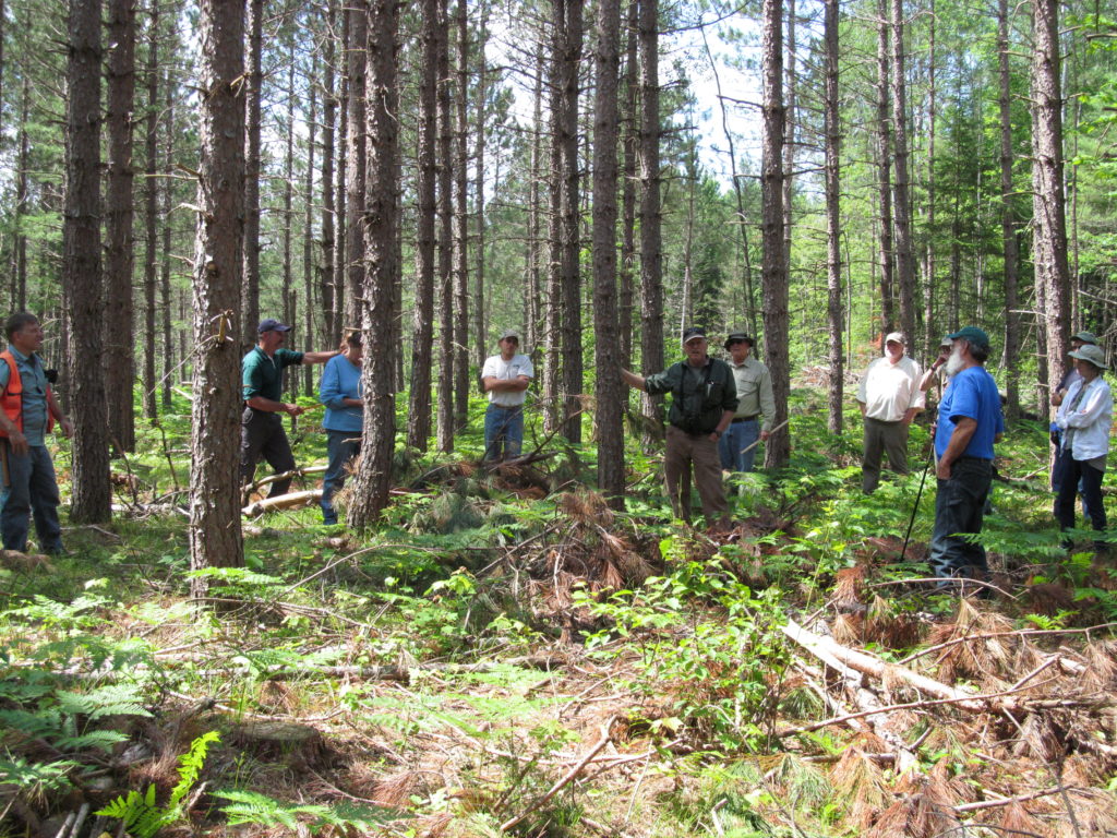 Field Day under the red pine. “This Partners in Forestry field day was a community education effort to promote long-term forest management and conservation. Here, under a recently thinned red pine stand, a forestry staff explains to landowners and the public the benefits of thinning red pine in a timely fashion. The UW Center for Cooperatives helped to sponsor this event.”